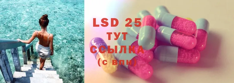 мега онион  Почеп  LSD-25 экстази кислота 